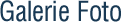 galerie foto